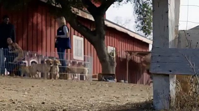 İşte 1 günde 11 milyon kez izlenen harika reklam