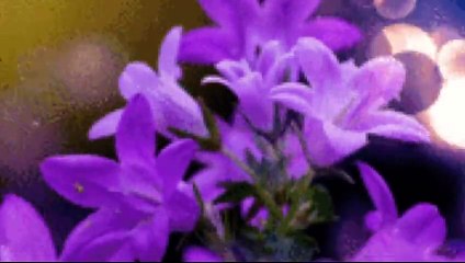 AMIKOR NYÍLNAK AZ ORGONÁK