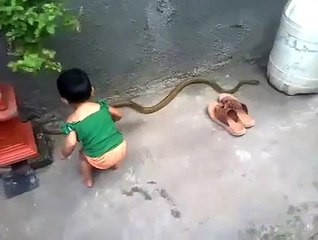 Baby Playing with Snake
