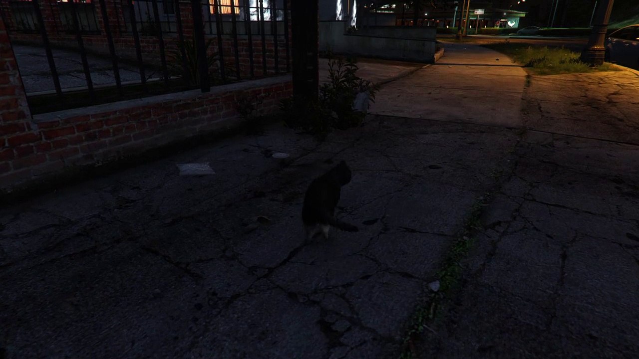Grand Theft Auto V - Cat
