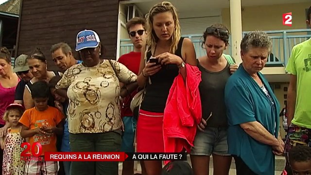 Réunion : comment expliquer les attaques de requins ?