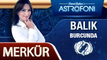 Merkür Balik Burcunda