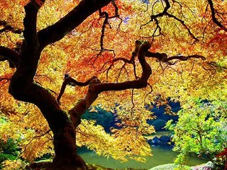 NO TE RINDAS - Mario Benedetti