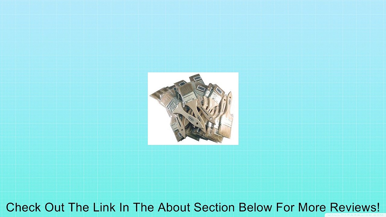 Car Builder Supply 412 - Fiberglass Resin Gelcoat 2" Chip Brush Set 24pc Review