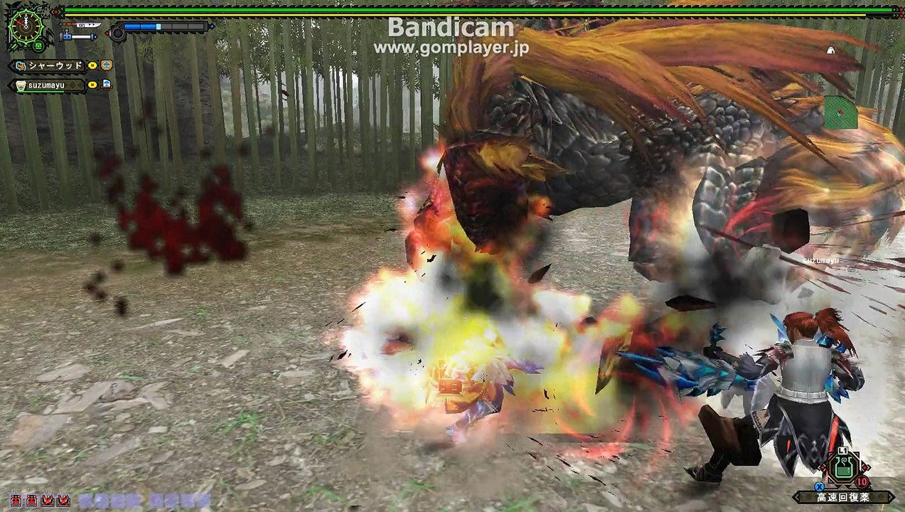 monster hunter frontier　穿龍棍「嵐の型」