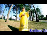 Pashto Film Wali Muhabbat Kawal Guna Da Hits HD Video 9