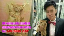 HK university student suspended from dorm for abusing cat