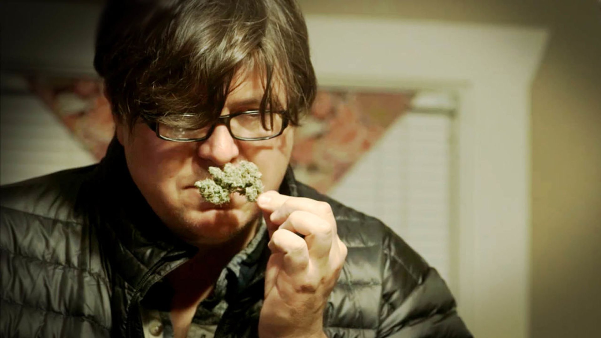 The Cannabis Editor