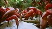 ANIMAL NATION - RED CRABS CRAZY ANTS