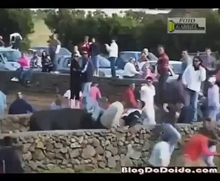 لهذا منعت مصارعة الثيران في إسبانيا