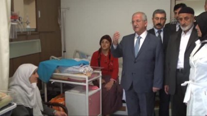 Kutlu Doğum Haftası