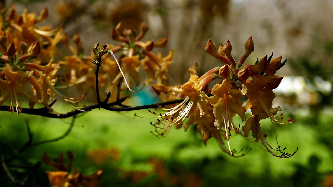 Nature Moments