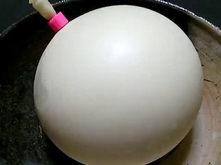 吉田一塁 牧家の白いMEGA[メガ]プリン