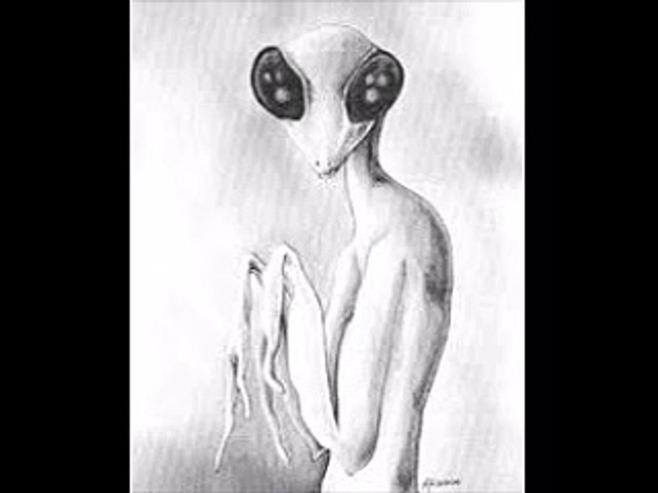 Les Aliens insectoïdes