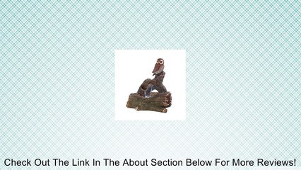 Koehler Home D�cor Owl Perch Outdoor Fountain Review