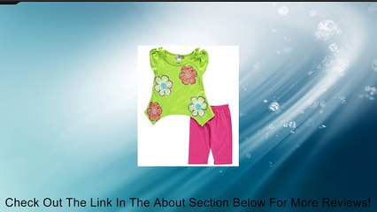 Baby Ziggles Little Girls' Toddler "Stripy Glitter Flowers" 2-Piece Outfit Review