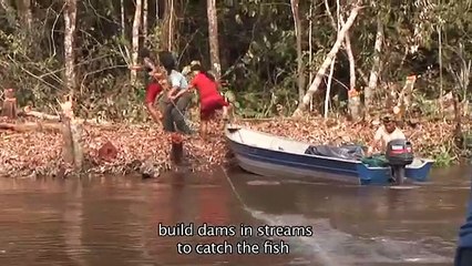 Le Yaokwa, rituel du peuple Enawene Nawe pour le maintien de l'ordre social et cosmique