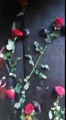 امیر المومنین حضرت   علیؓ کا گھر مبارک