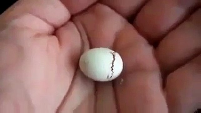 بے شک اللہ پاک ہی ایسی تخلیق پر قادر ہے