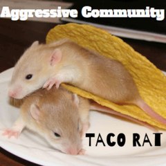 Aggressive Community - Taco Rat