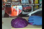 First Grade Science Projects for Homeschooler Science Students