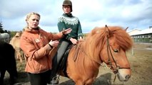 Íshestar - How to ride an Icelandic horse?