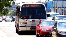 NJ Transit Bus Action At Atlantic City Bus Terminal [HD]