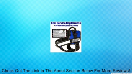barkOutfitters Service Dog Vest Harness + 50 FREE ADA Info Cards Kit Review
