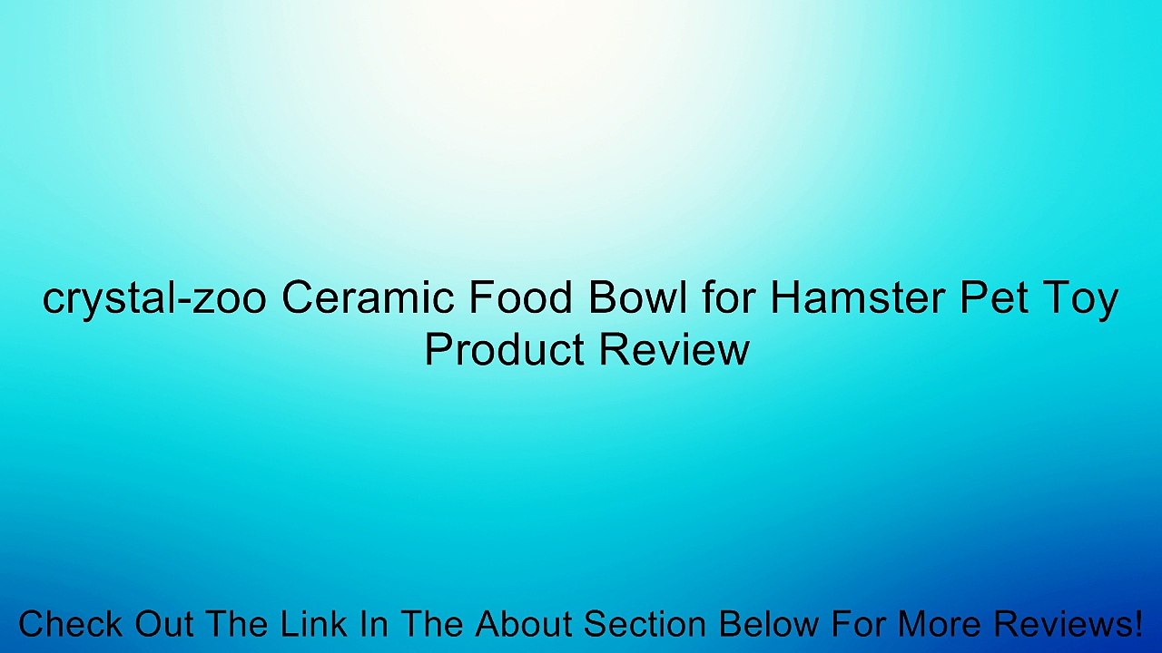 crystal-zoo Ceramic Food Bowl for Hamster Pet Toy Review