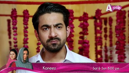 Kaneez Episode 67