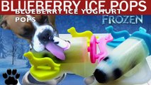 FROZEN BLUEBERRY DOG ICE POPSICLE LOLLY - Ice cream/pops Treats- a tutorial by Cooking For Dogs