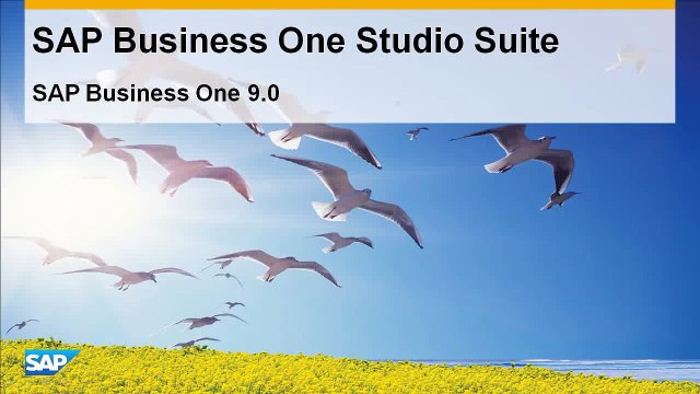 SAP Business One Studio Suite