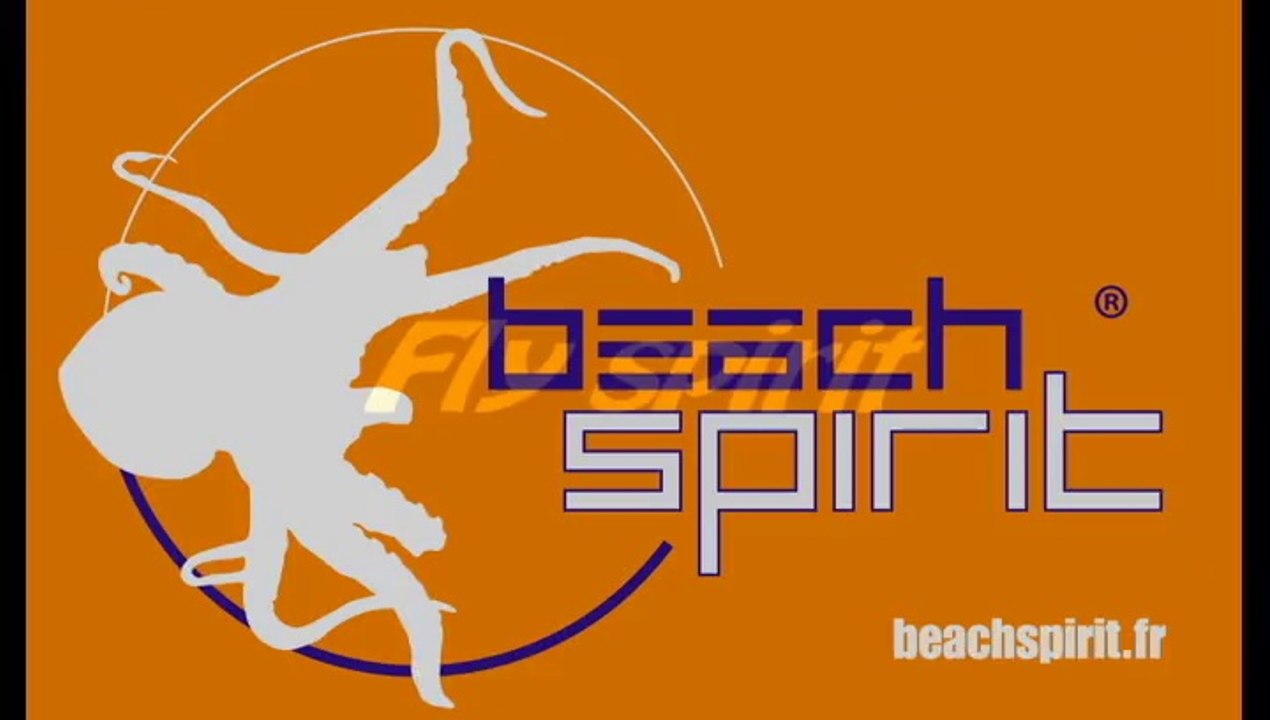 fly spirit