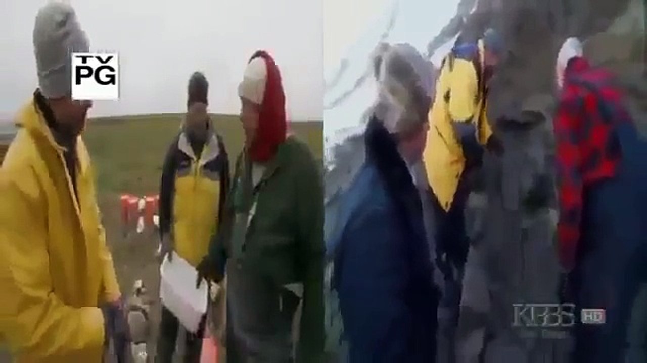 NOVA - ARCTIC DINOSAURS - Discovery History Animals Dinosaur (full documentary)