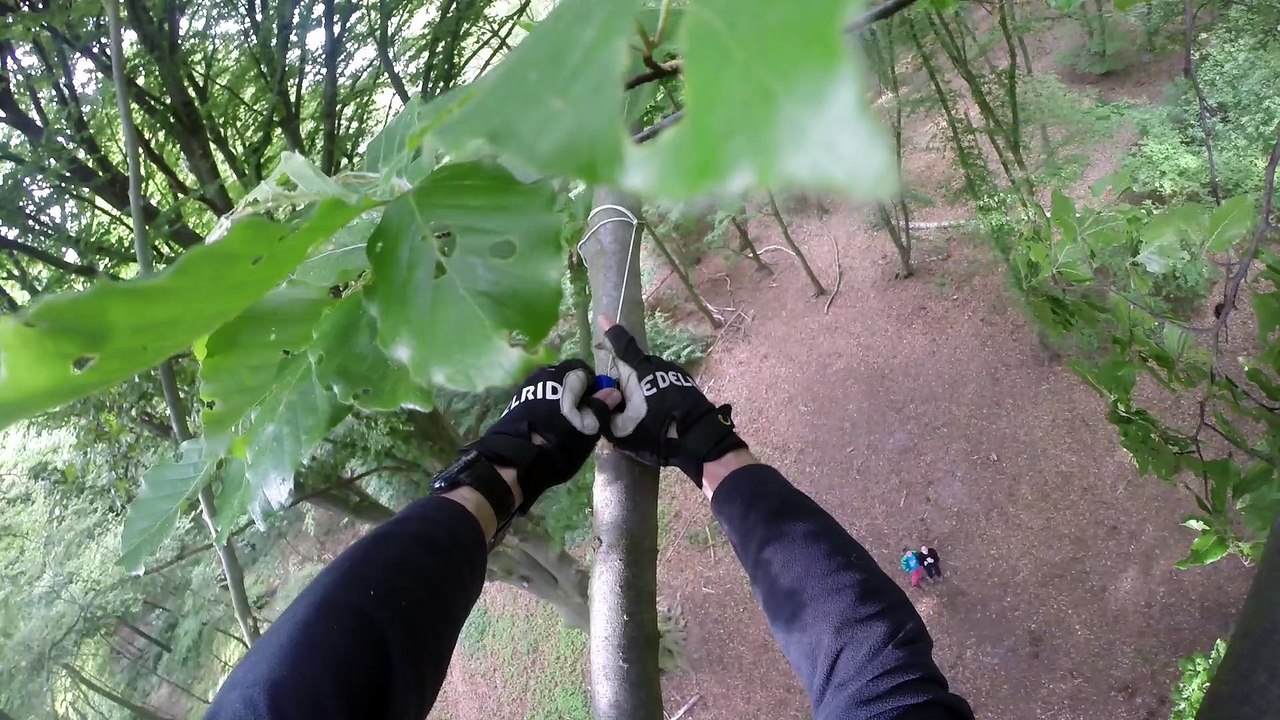 Die wilden Kerle - WILD