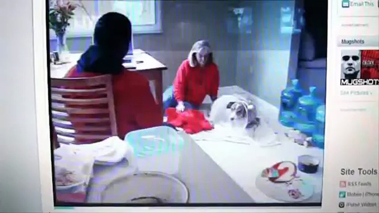 Dog barely survives pit bull attack