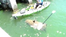 Il pèche un poisson de 250kg et casse son Kayak !