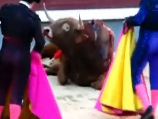 tauromaquia "ARTE Y CULTURA" O MASACRE Y TORTURA