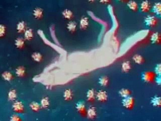 Wolf's Rain - Прыгай вниз