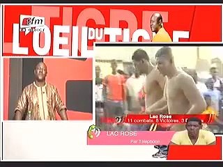 L'Oeil du Tigre - Réaction de Lac Rose par Téléphone