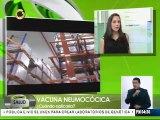 Vacuna contra neumoco permite disminuir infecciones