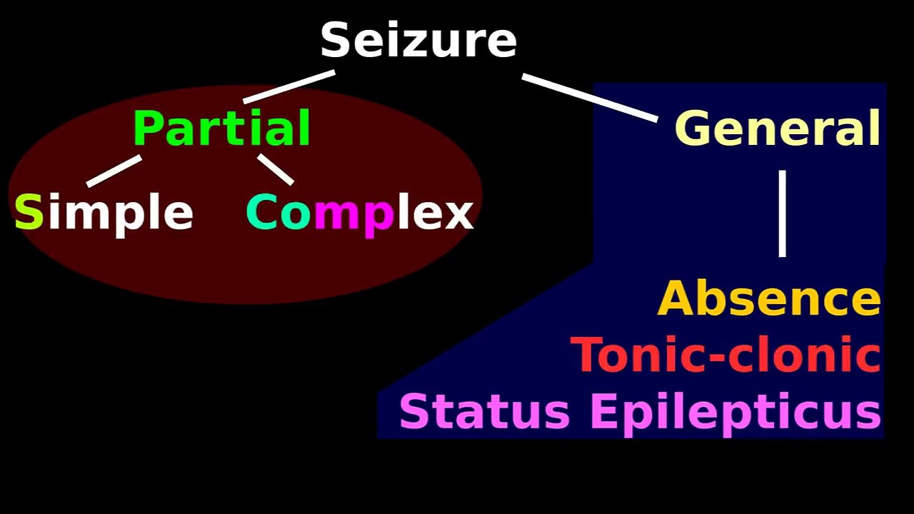 Epilepsy drugs: Seizure Medications: Benzodiazepine, Phenobarbitol, Ethosuximide, Valproate
