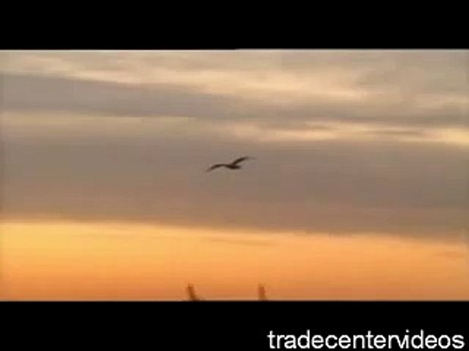 WTC before 9/11 [Naudet, DVD-Rip]
