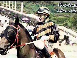 Horse Racing  In Mauritius.flv