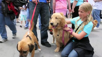 Puggles at Woofstock Toronto 2011
