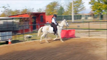 Clase de Doma Clásica