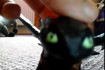 How to train your dragon toothless toy