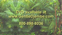 Gentle Djembe for Beginners 1: Djembe lessons DVD