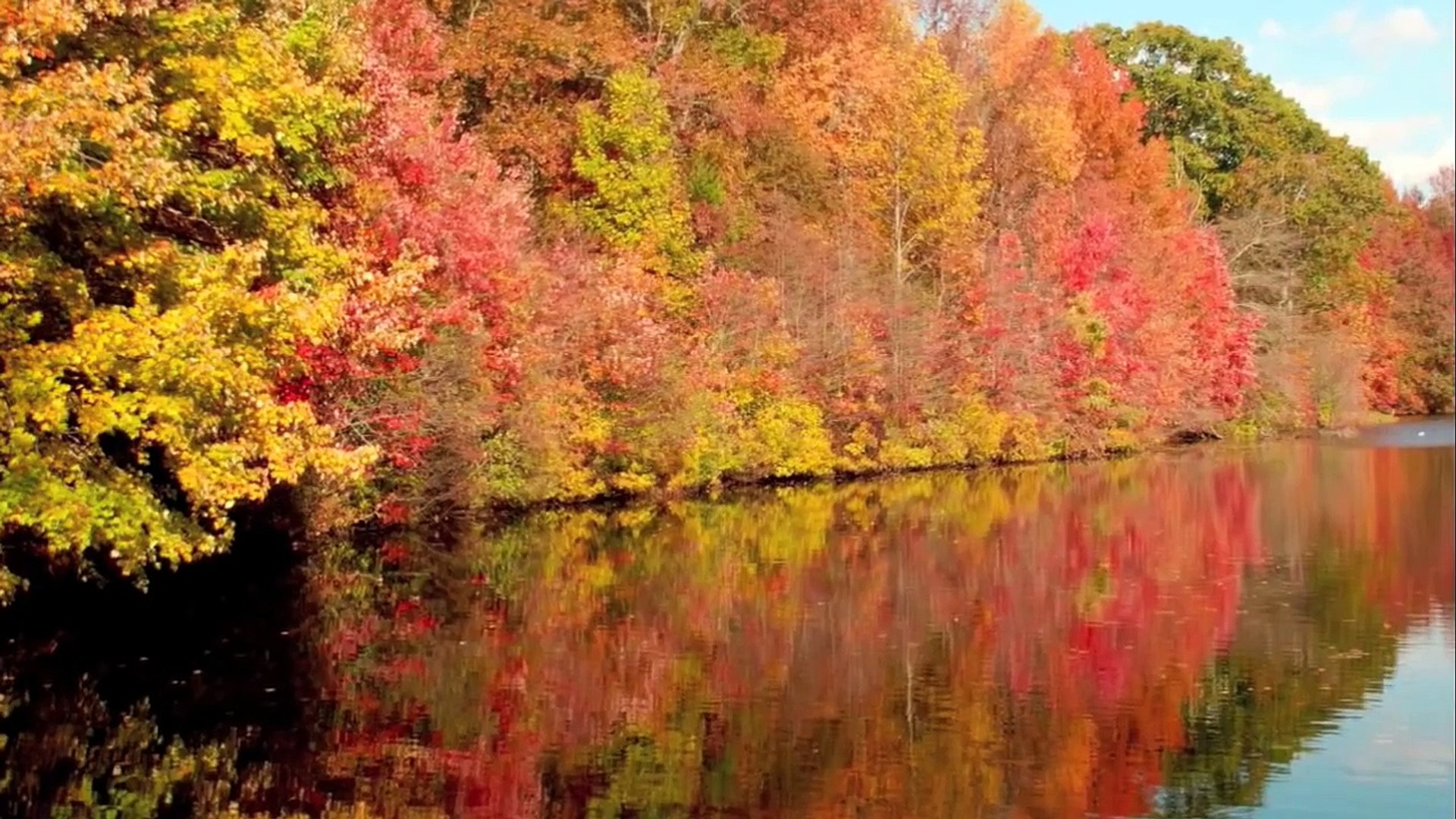 Travel Destinations: Environments