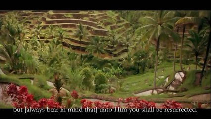 Surah Al Mulk - Really Beautiful Quran Recitation - Qari Youssef Edghouch - Best of Quran Karim